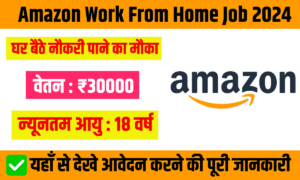 Amazon Work From Home Job