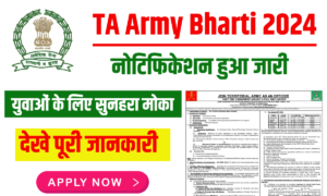 TA Army Bharti 2024