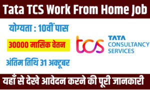 Tata TCS Work From Home Job 